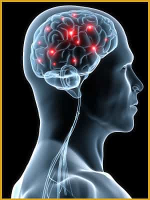 NeuroGen |  Brain and Spine Institute Brain